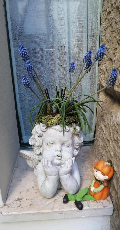 Verona Goddess House Ngoại thất bức ảnh